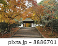 紅葉の安楽寺 8886701