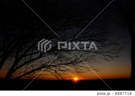 初日の出（鐘撞堂山／埼玉県 寄居町･深谷市） 8887718