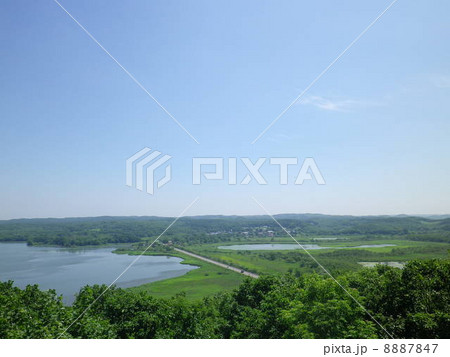 釧路湿原 釧路湿原 8887847