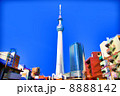 東京スカイツリー 8888142