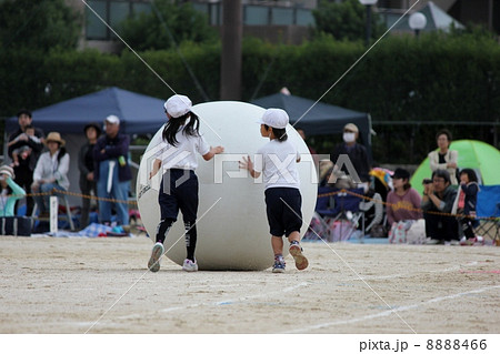 大玉ころがし 8888466