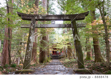 世界遺産　滝尾神社　運試しの鳥居（栃木県日光市） 8888478