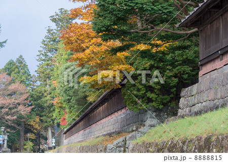 世界遺産 輪王寺 参道(栃木県日光市) 世界遺産 輪王寺 参道(栃木県日光市) 8888815