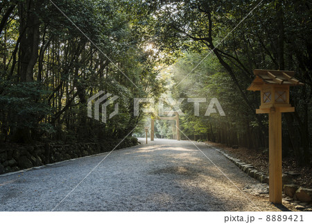 伊勢神宮の風景 朝の内宮参道 朝日に照らされる鳥居と参道 伊勢神宮の風景 朝の内宮参道 朝日に照らされる鳥居と参道 8889421