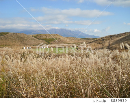 初冬の九重連山 8889939