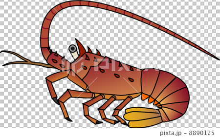 伊勢海老 8890125