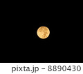 満月 8890430