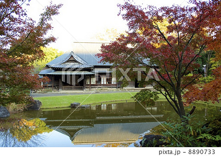 日本庭園 古民家と紅葉 8890733