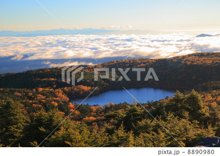 八千穂高原白駒池の朝 8890980