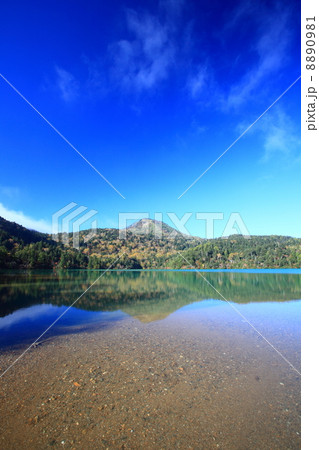 志賀高原大沼池の秋 志賀高原大沼池の秋 8890981