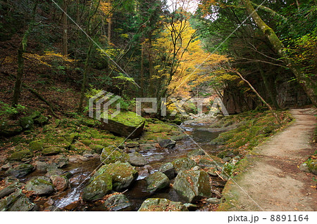 赤目四十八滝の遊歩道 8891164