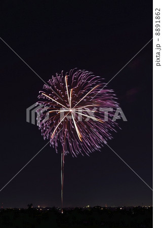 花火 8891862