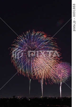 花火 8891868