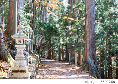 三峰神社　参道（埼玉県秩父市） 8893260