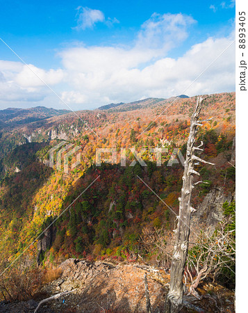 大台ヶ原の眺望 8893405