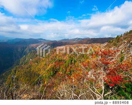大台ヶ原の眺望 大台ヶ原の眺望 8893408