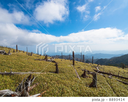 大台ヶ原の正木ヶ原 8893414