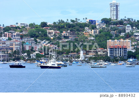 アカプルコ 8893432