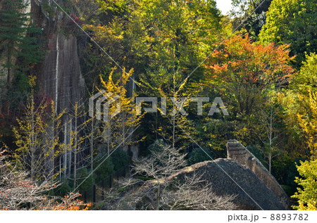 宇都宮散歩・大谷石採石場跡 宇都宮散歩・大谷石採石場跡 8893782