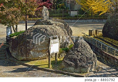 宇都宮散歩・親子がえる 8893792