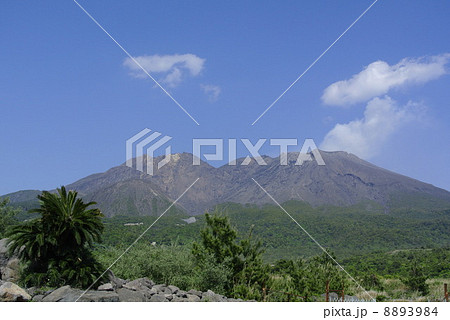 鹿児島県　桜島　湯之平展望所から 8893984