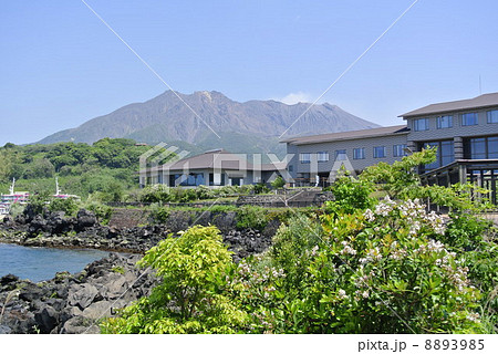 鹿児島県　桜島ビジターセンター 8893985