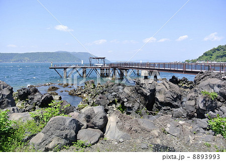 鹿児島県　桜島ビジターセンターの釣り場 8893993