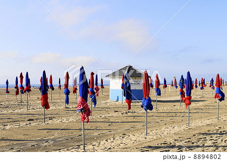 ドーヴィル Deauville ドーヴィル Deauville 8894802