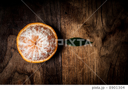 8901304