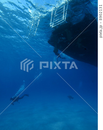 スキューバダイビング 8902131
