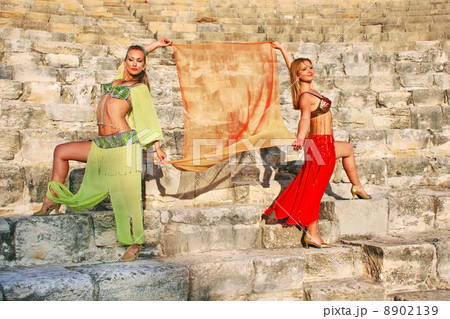 Belly dancers 8902139