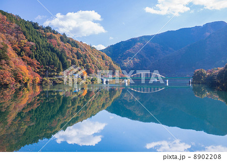 紅葉の奥多摩湖 8902208