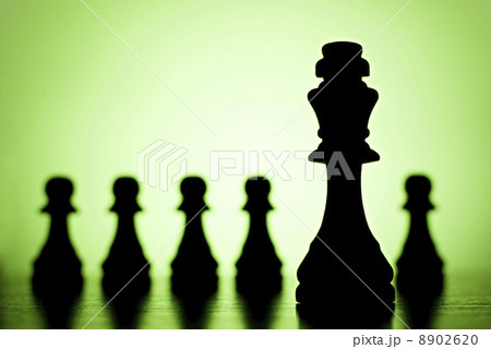 King and pawns 8902620