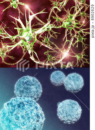 体内セット 体内セット 8902629