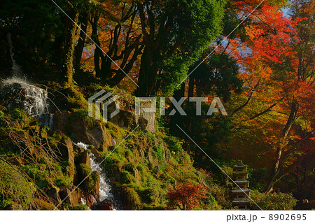 小滝と紅葉 小滝と紅葉 8902695