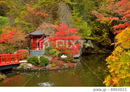 宇都宮散歩・大谷寺 弁財天の池 宇都宮散歩・大谷寺 弁財天の池 8903022