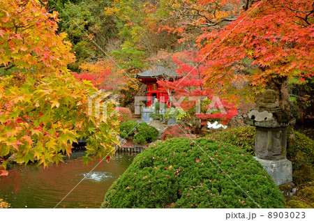 宇都宮散歩・大谷寺　弁財天の池 8903023