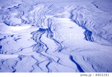 蔵王の樹氷原にできた雪の風紋 8903281