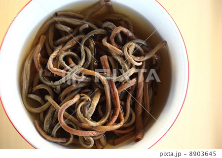乾物（薇）　 8903645