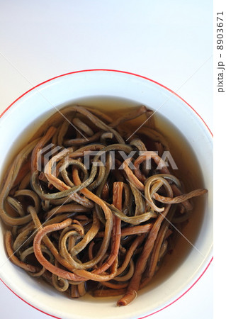 乾物(薇) 乾物(薇) 8903671