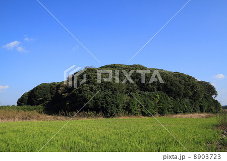 稲荷山古墳(千葉県富津市) 稲荷山古墳(千葉県富津市) 8903723