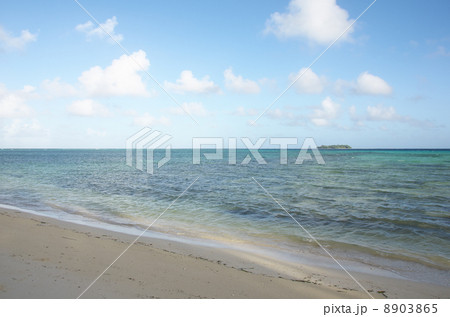 サイパン　マニャガハ島 8903865