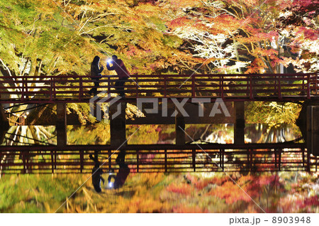 愛知県瀬戸市 岩屋堂公園 紅葉デートの写真素材