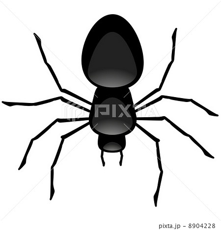 Spider Spider 8904228