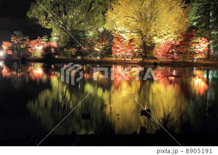 白水阿弥陀堂 8905191