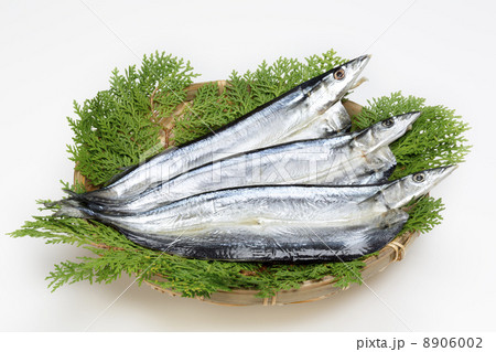 さんま開き 8906002