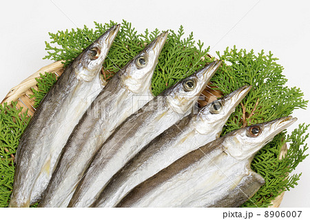 かます塩干し 8906007