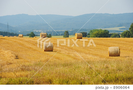 Sheaves in a field 8906064