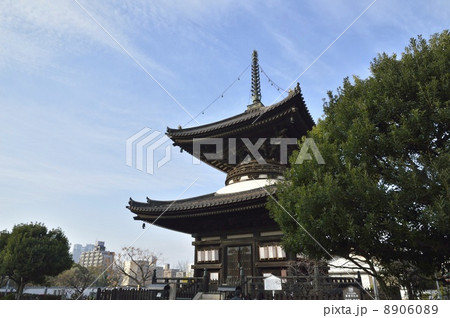 愛染堂勝鬘院　多宝塔 8906089