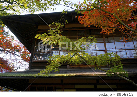 民家と紅葉 民家と紅葉 8906315